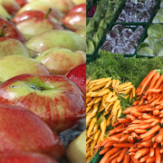 CLET- Cluster Land- und Ernährungswirtschaft Thüringen