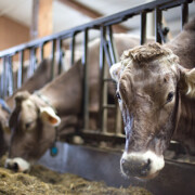 Foto_Sabrina-Nuernberger-fotos.mediadee.de